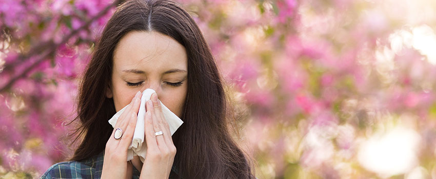 What Causes Spring Allergies?￼