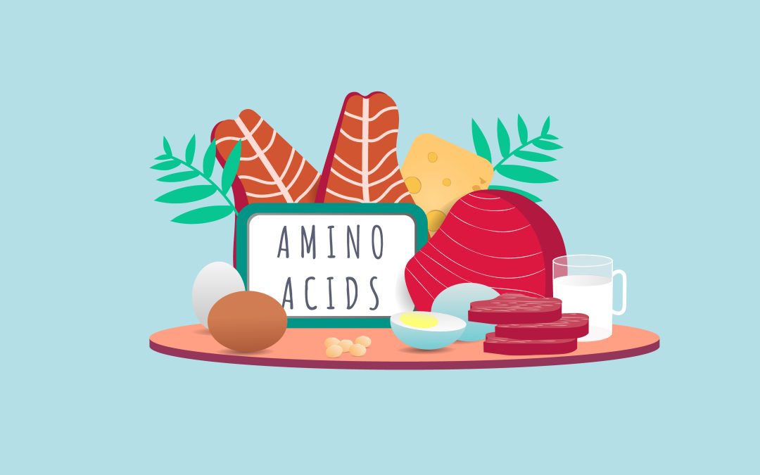 Are Amino Acids Important?