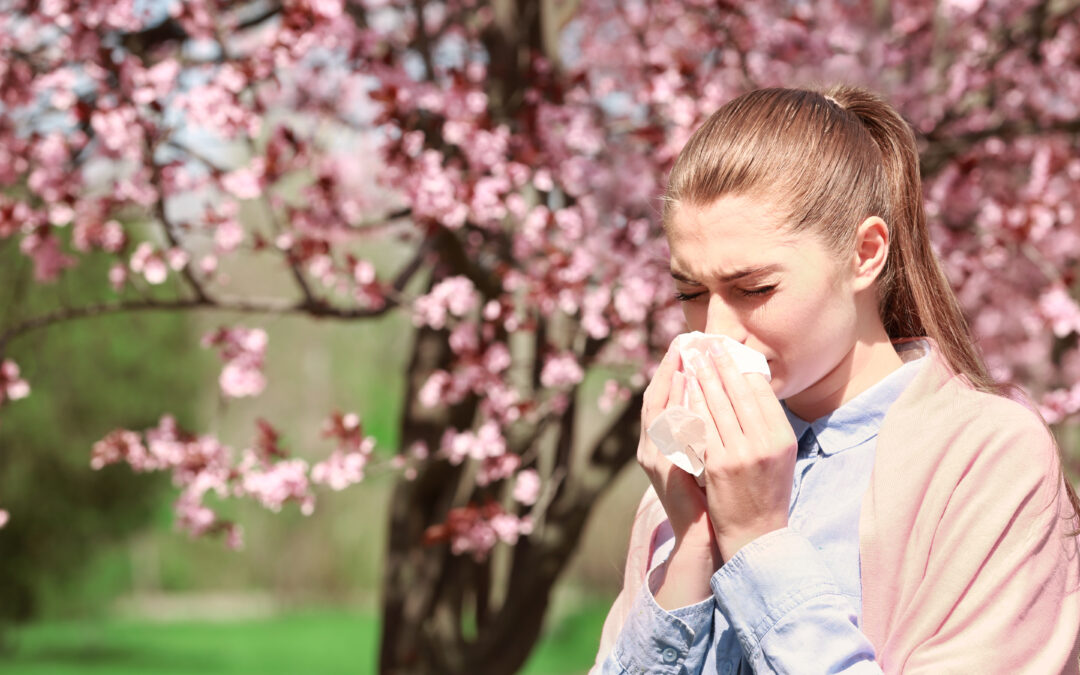 Woman in light blue shirt with light purple cardigan sneezing into facial tissue. Flowering tree in the background during warm spring weather.